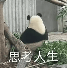 小扎自曝挖人秘诀：小团队我亲自带，豪掷数百亿建GW集群，大家不图天价薪酬只为“造神”
