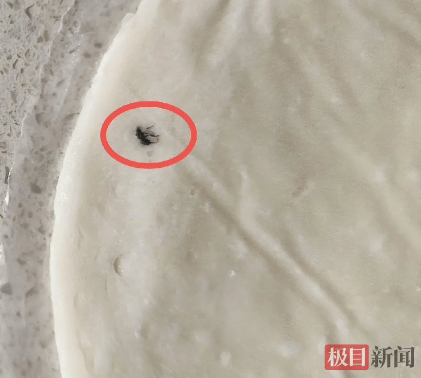 安井手抓饼陷“黑虫”风波:消费者维权遇阻 食品安全引担忧(图1)