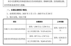 耐普矿机上半年净利预计大跌超七成，公司董事长连续四年年薪稳定百万