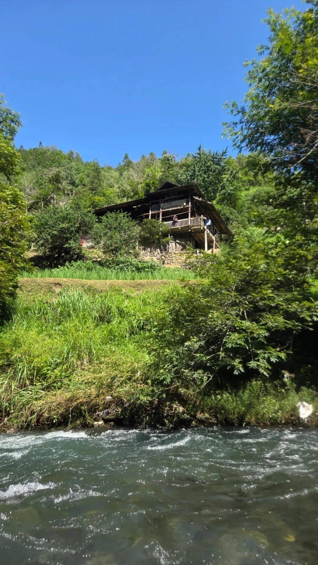 有华南第一高峰猫儿山海拔2141米和第二高峰真宝顶