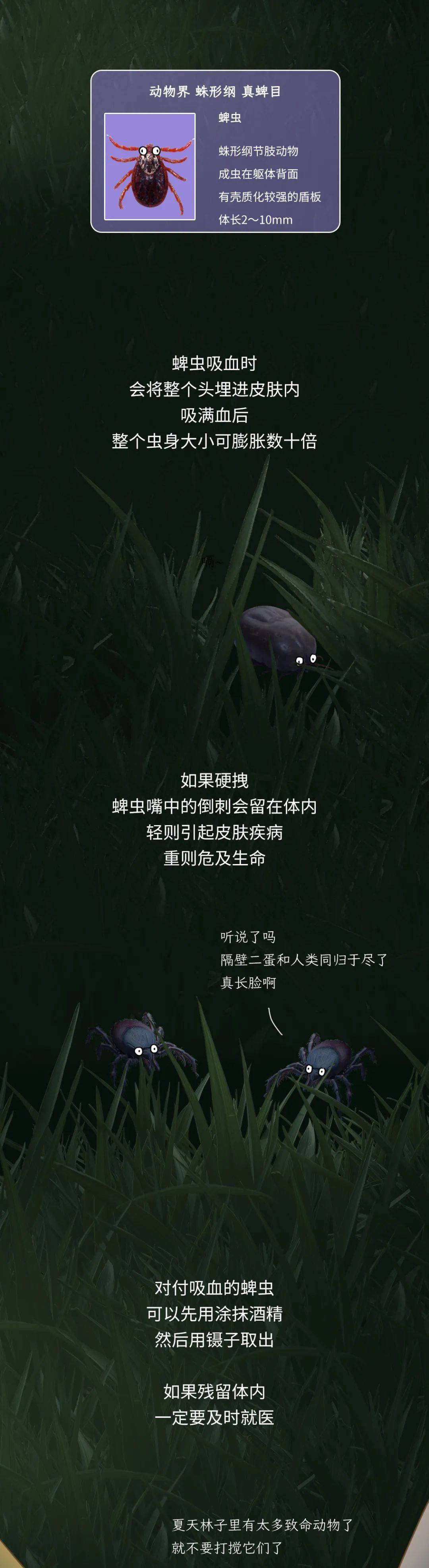 防护_花露水_毒虫