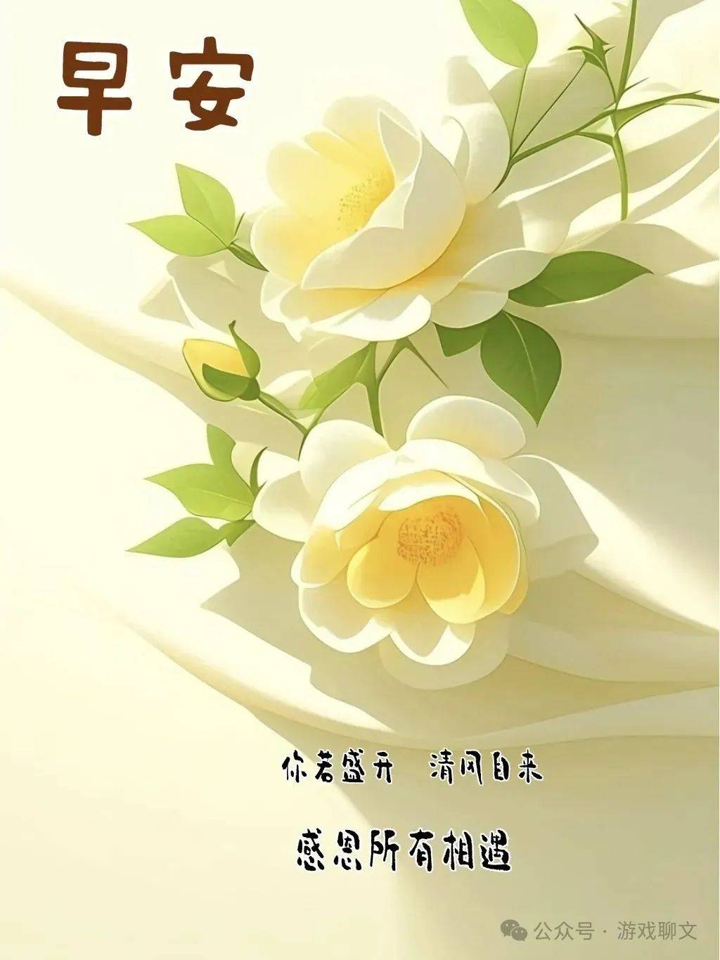 2025年118张早安最新图片,早上好最新图片大全 最美 温馨,一早送祝福