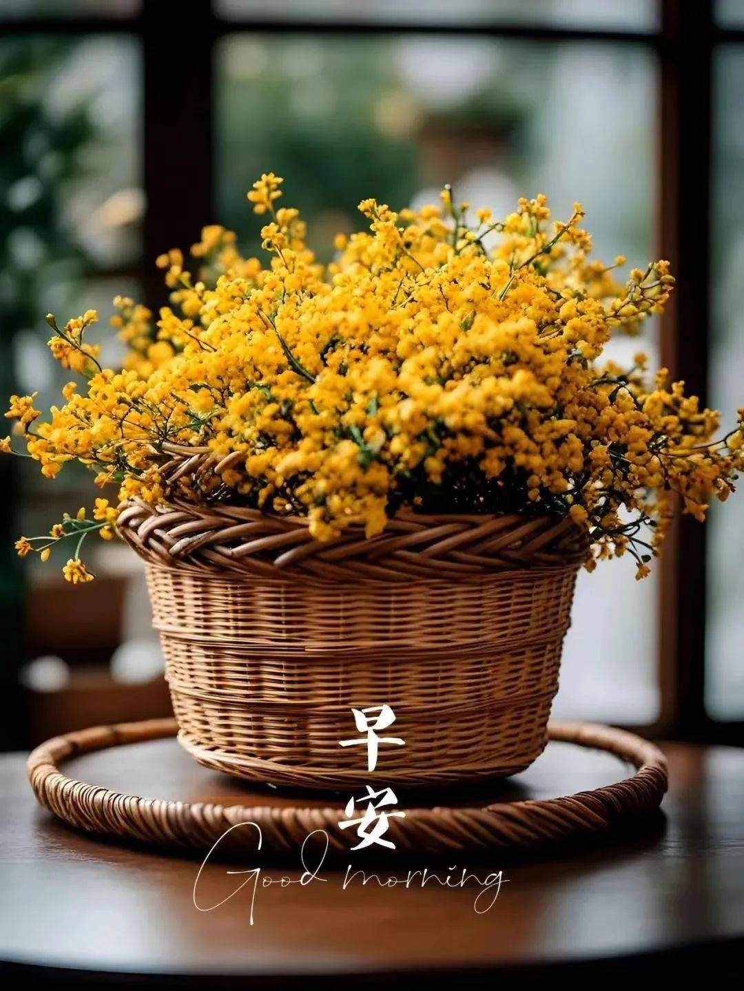 销冠早晨发圈的干净句子满满正能量太招财了激活潜在客户下单～