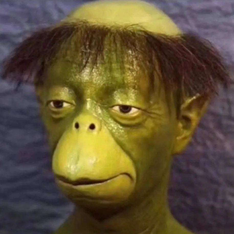 让人无法直视的丑丑头像