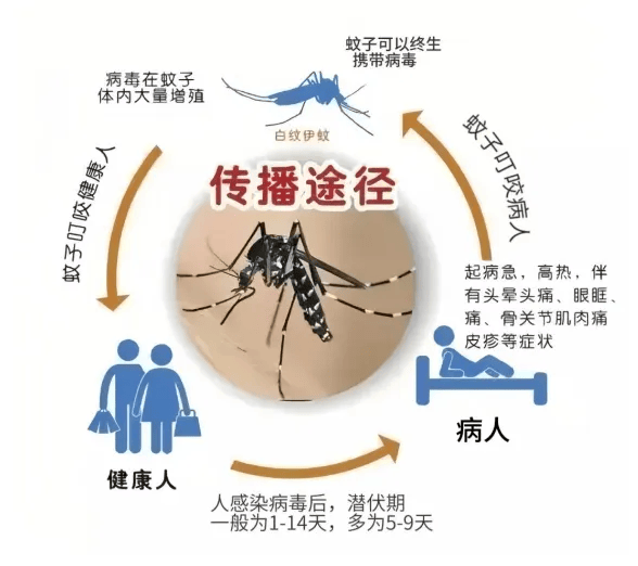 中山：全民总动员果断采取最有力措施，打早打小打赢基孔肯雅热疫情歼灭战！