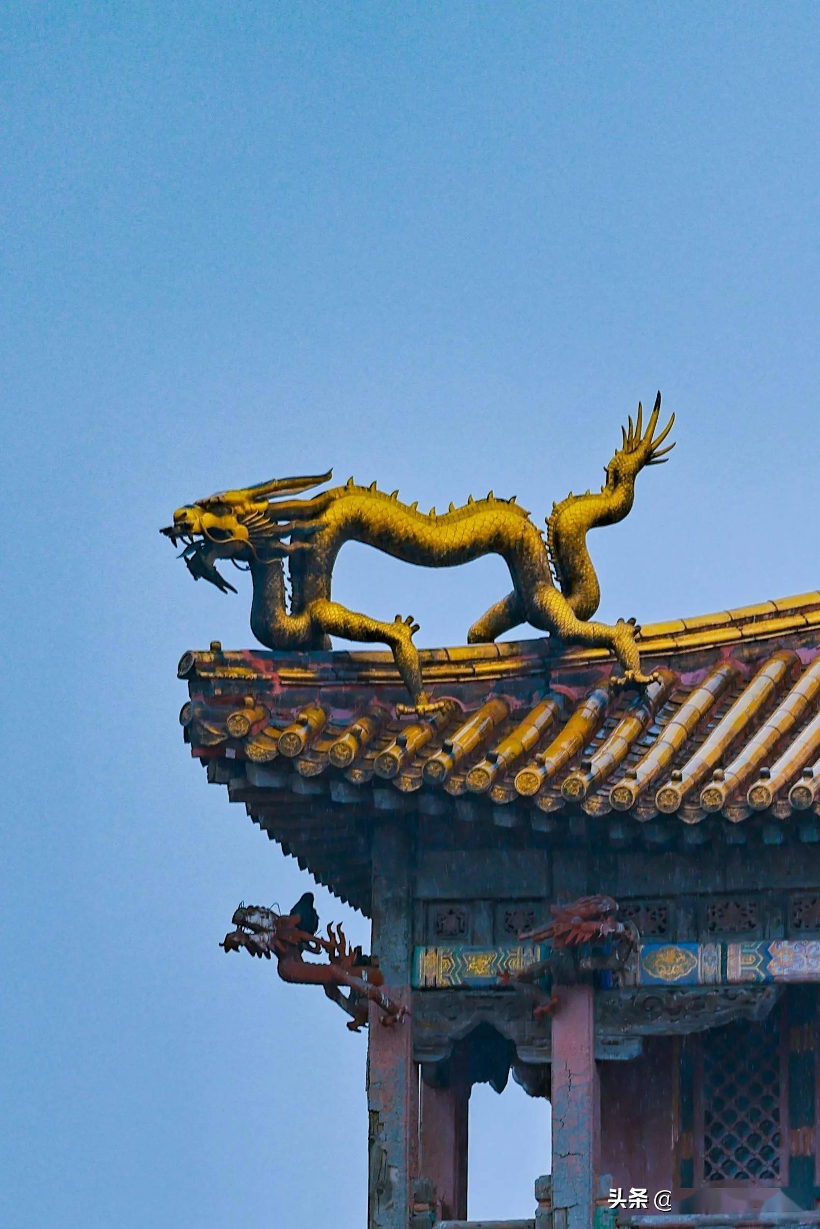 故宫摄影师小星星:7月的北京,夏日雨景格外动人!