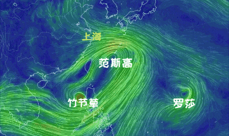 大风 大雨，上海今起受台风影响！一活动紧急取消！这几个区的雨更大深度揭秘
