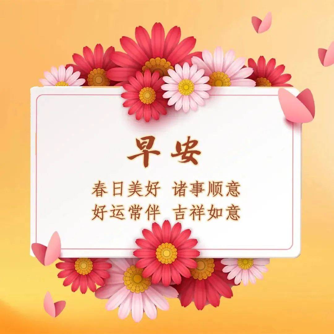 028 早安,朋友,愿清晨带给你满满的能量和温暖