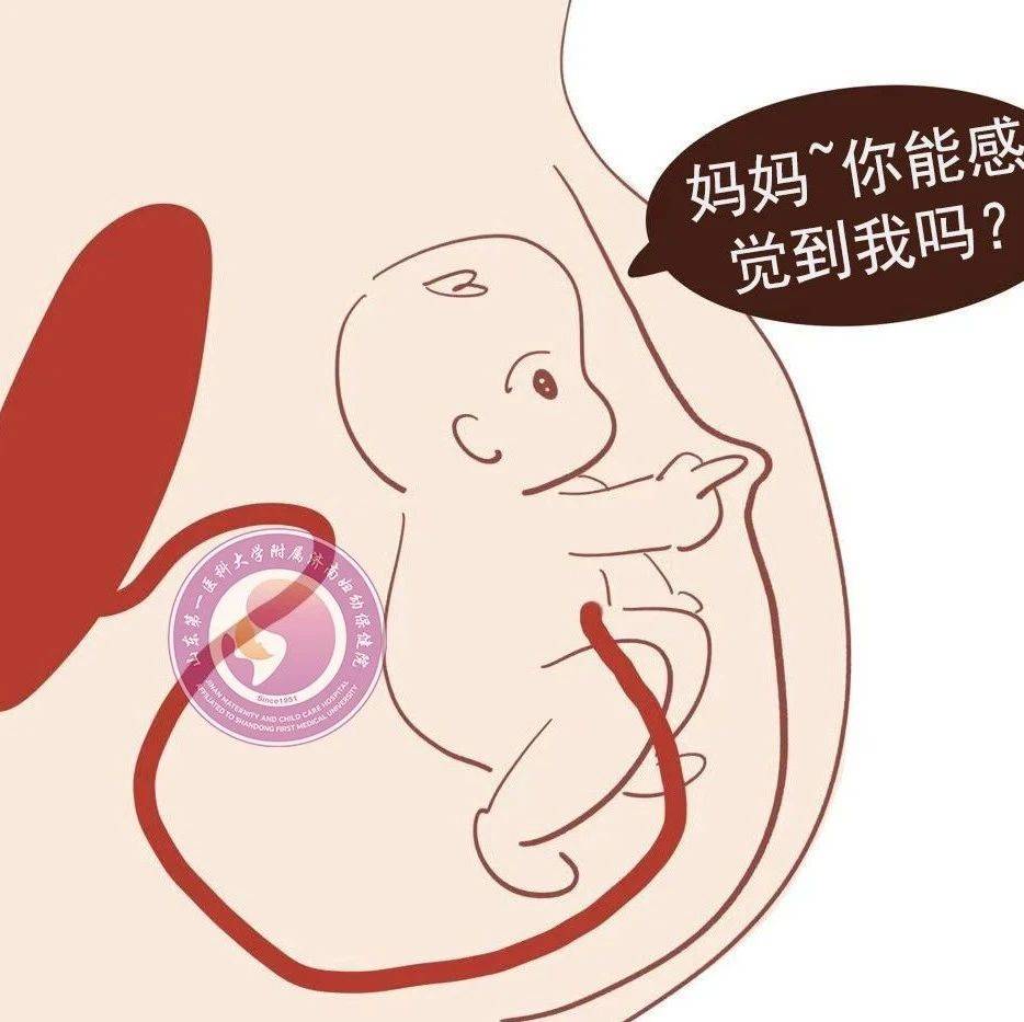 数胎动：孕妈妈必备的胎儿健康监测技能_小时_异常情况_方法