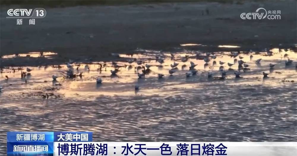 多彩活动点亮假期时光 “暑期经济”带动夏日消费潜能加速释放