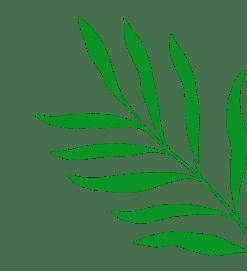 您是否需要在出汗的日子里添加电解质？