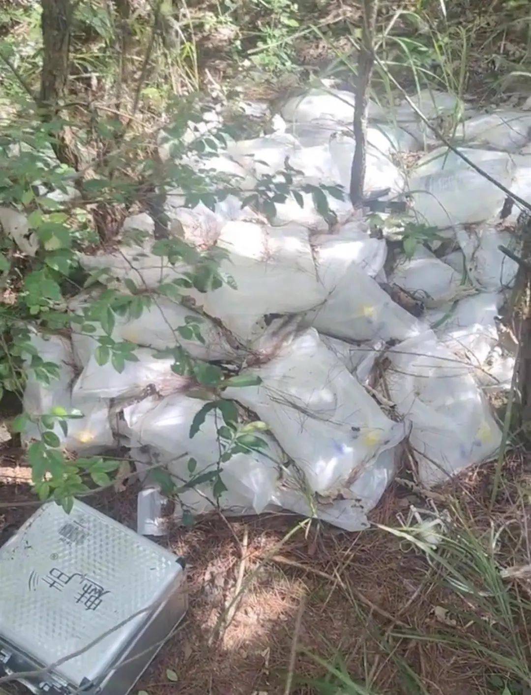 “树林发现大量丢弃药品，还有针头”？当地通报