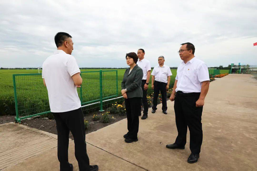 丛丽到佳木斯国家农高区调研能级载体作用发挥等情况