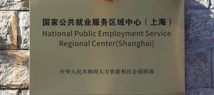 2025上海人社上半年数据出炉！