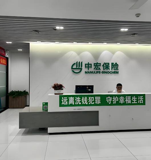 中宏人寿被罚50万:不是结束,是保险行业造假的冰山一角?_数据_保费_保单
