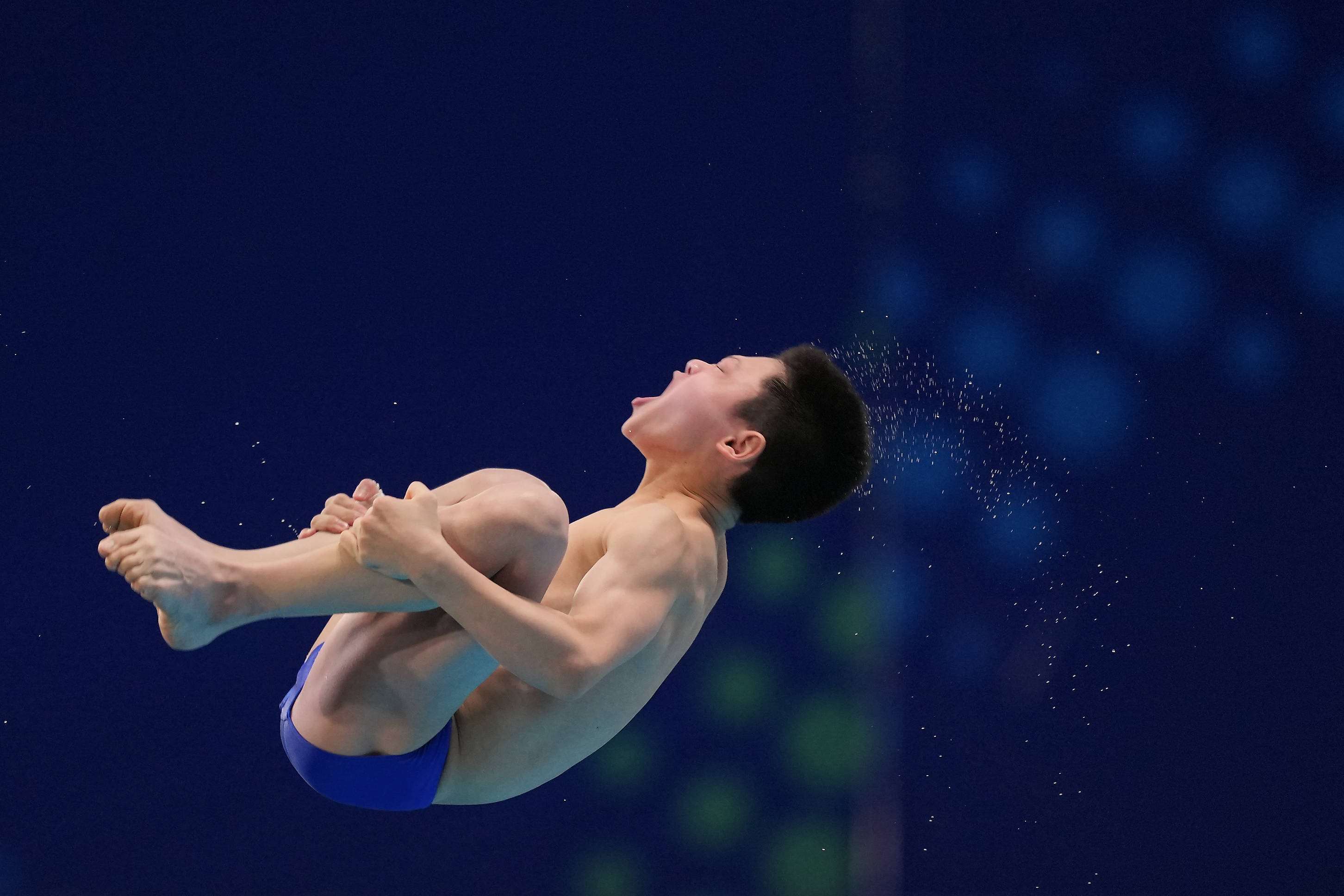 (游泳世锦赛)跳水