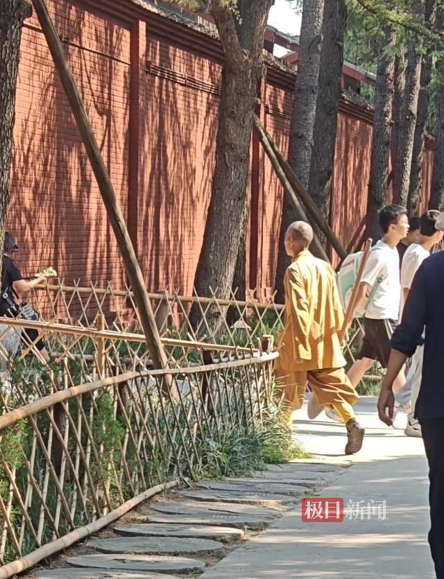 实探印乐方丈管理下的白马寺：僧人顶着38摄氏度高温种地，义工称寺里一直是农禅并重
