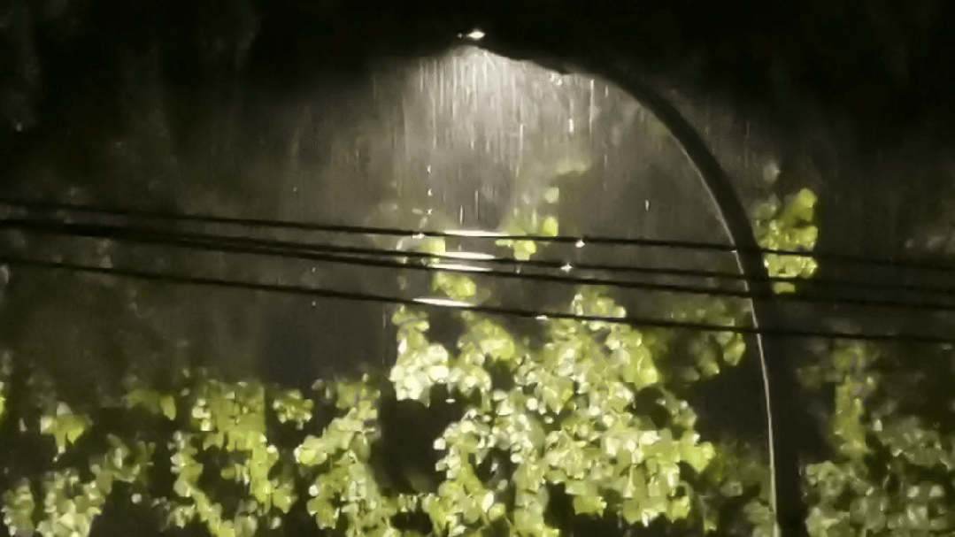 中到大雨如约而至丨3日冰城雷阵雨 #超多美图的天气预报