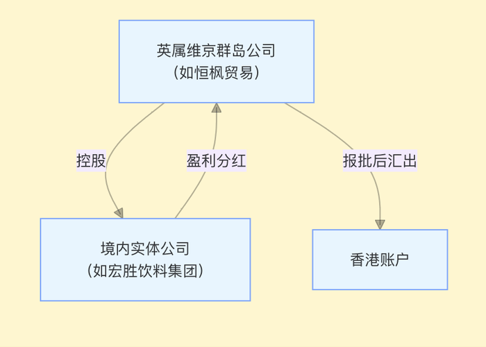 宗庆后家族“信托案”中的18亿美金从何而来？