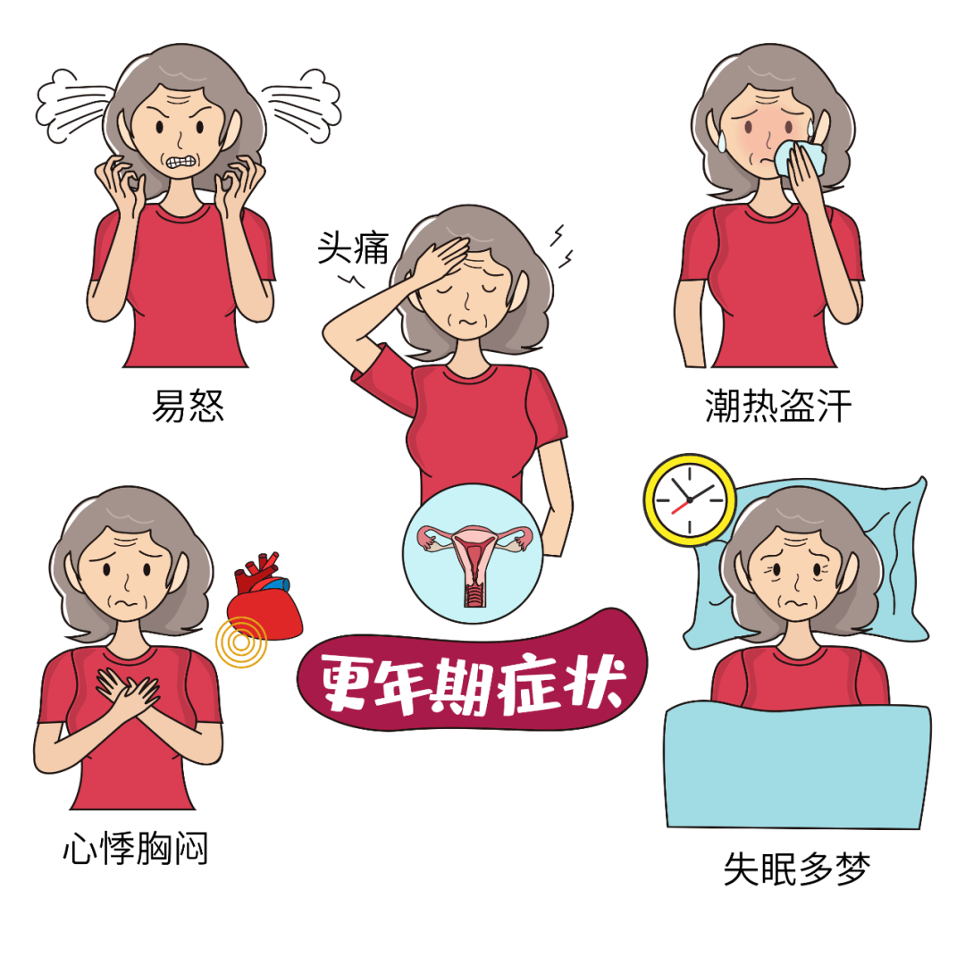 围绝经期女性健康管理