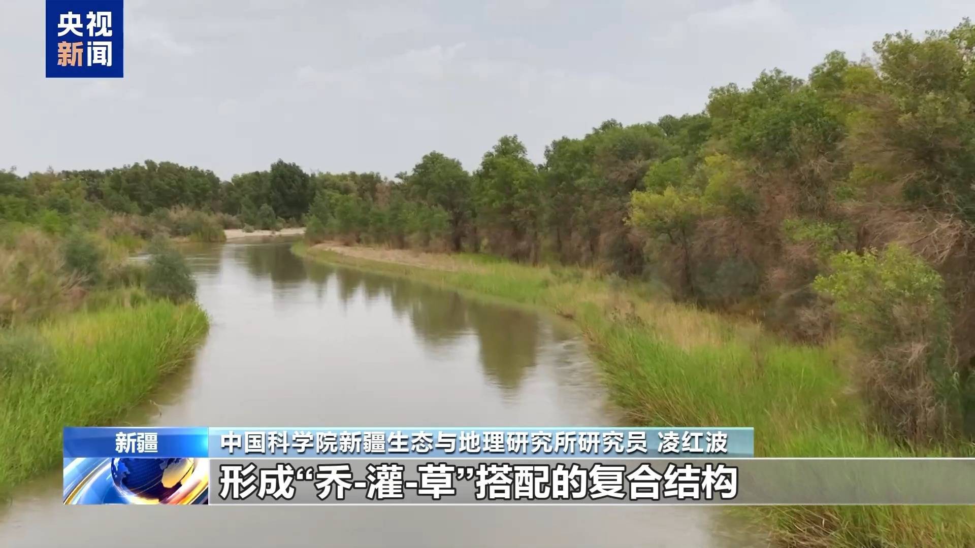 生态输水如何守护胡杨“生命线”？调控方案考虑这些