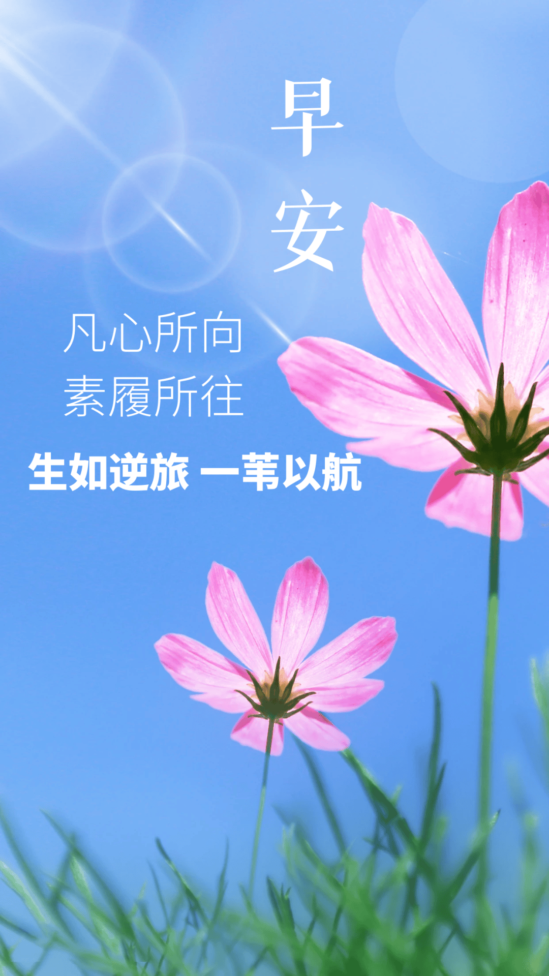 早安最励志的句子(早安励志走心的句子)