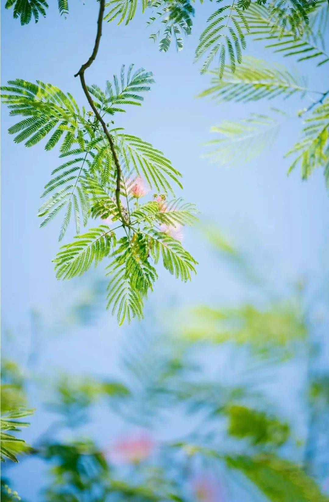 —笑迎收获满满,拥抱美景万千