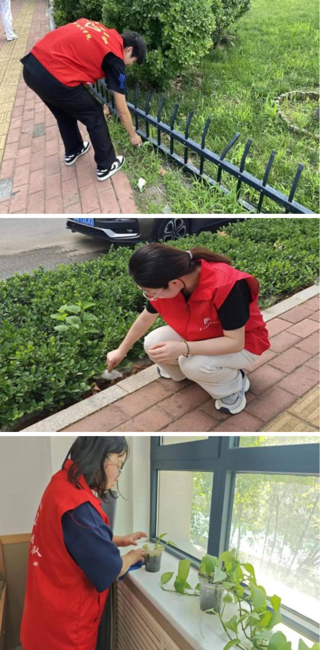 山东现代学院开展暑期三下乡社会实践系列活动