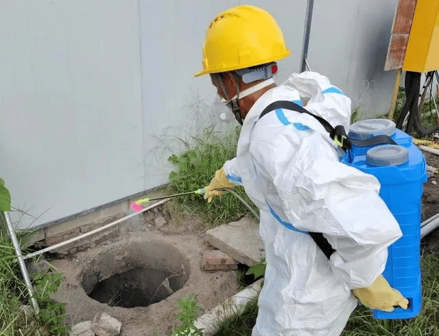 家里的这几个地方，正悄悄“养”出花斑蚊！快自查→