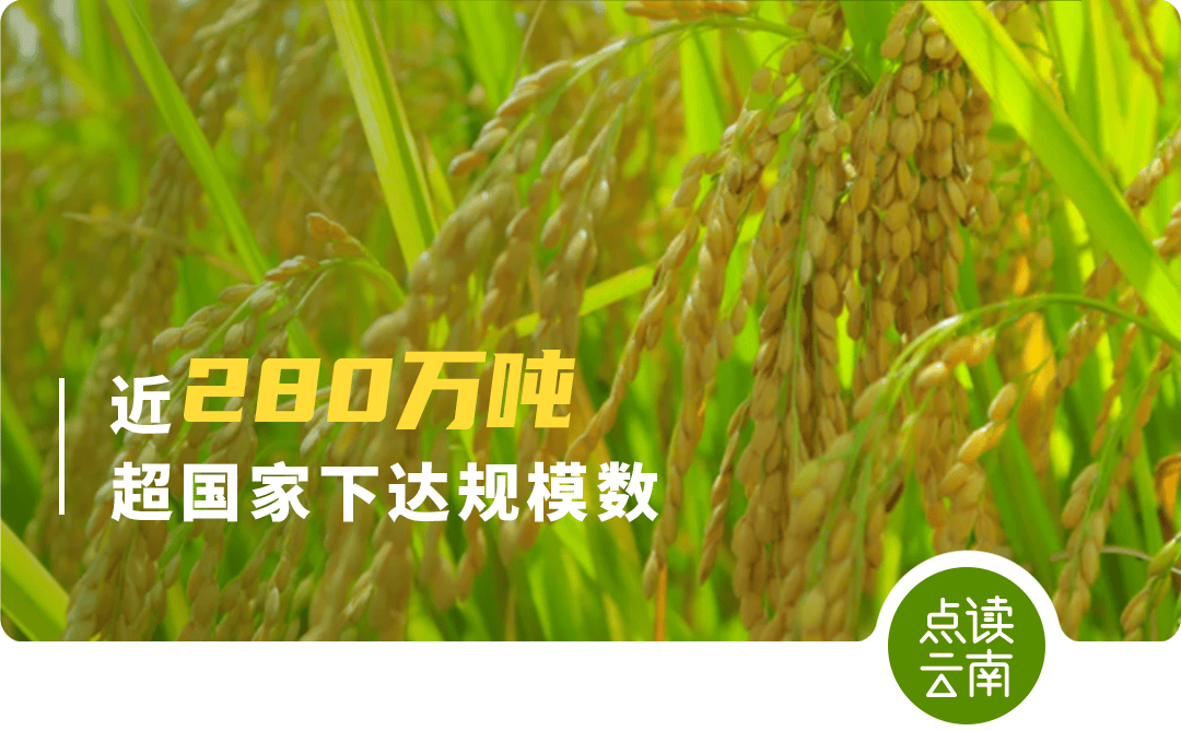 _三年级上册陕旅版英语书点读_文旅融合云南