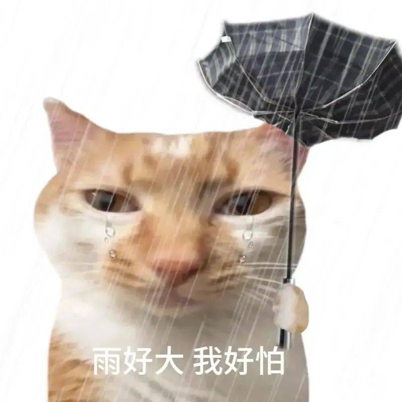 最强15级！广东紧急通知：撤离、关停！台风或在此登陆，深圳……