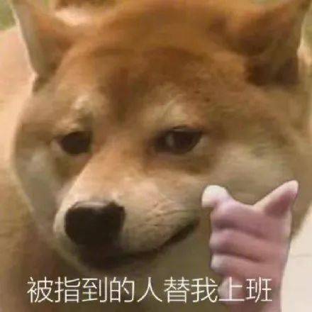 ฅ沙雕狗子指人表情包