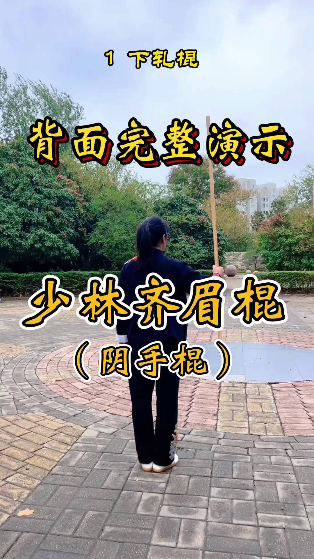 日常训练 少林齐眉棍阴手棍背面完整演示