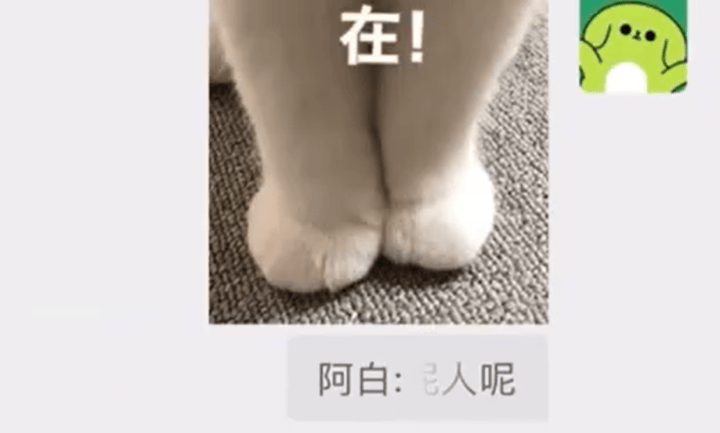 微信聊天又出新功能！网友：爱死了