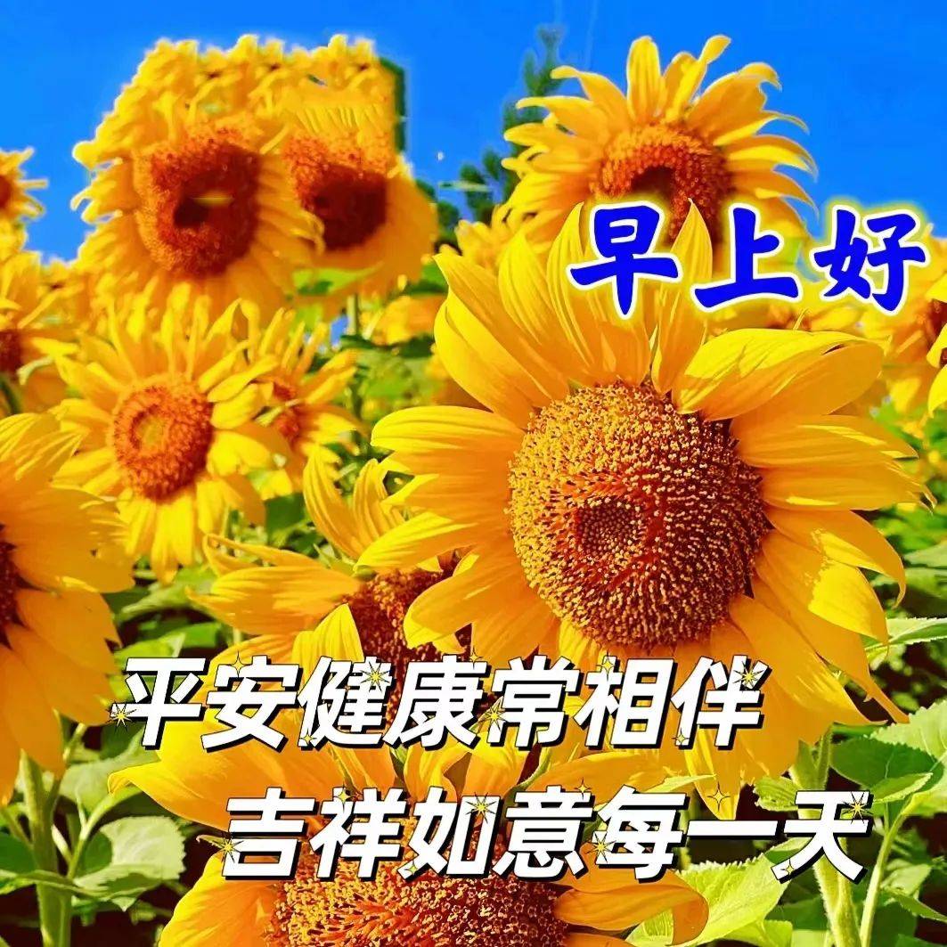 免打字早上好表情包大全,岁月催人老,快乐同行!
