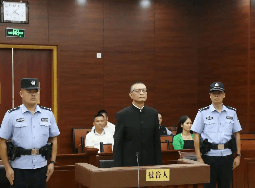 柳州市委书记：违建轻轨透支人民信任，败坏党风政风，教训极其深刻