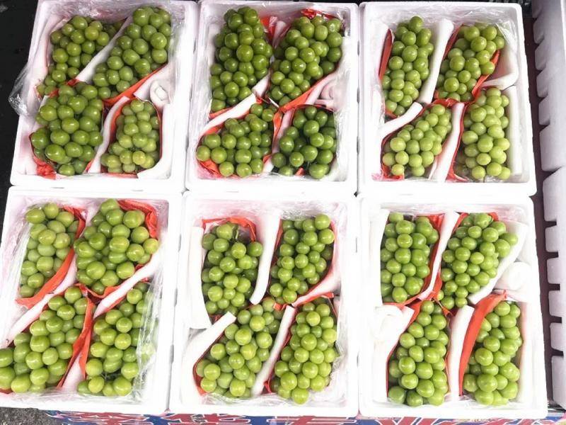 批发价低至2元/公斤！昆明这种水果大降价，最贵曾卖到150元/公斤