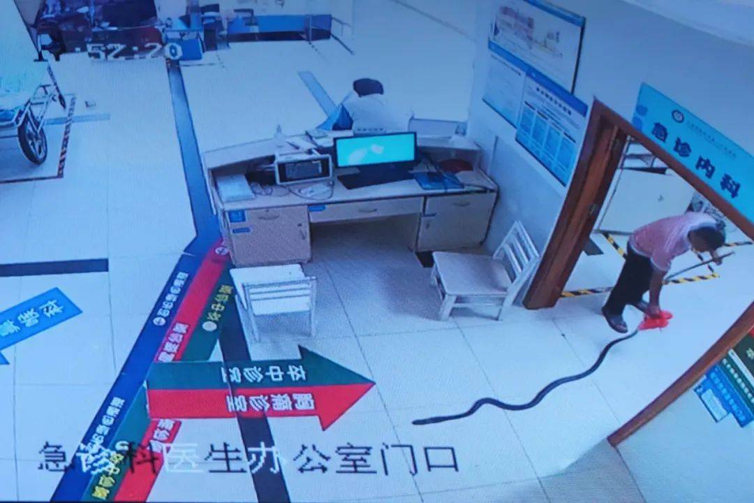 78岁老人被眼镜王蛇咬伤，家属拖两米多长的“凶手”冲进了医院！
