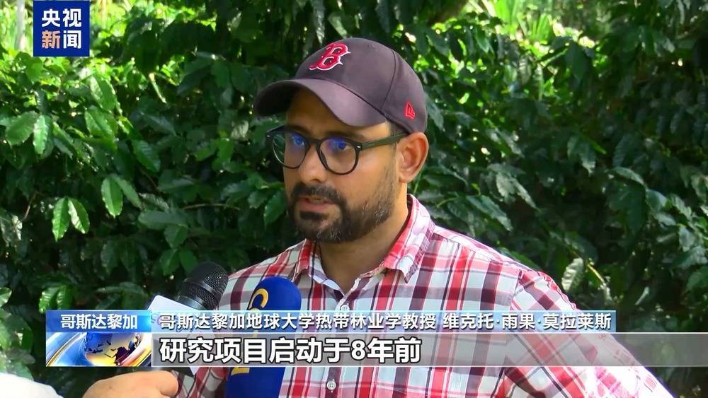 气候变化影响哥斯达黎加咖啡产量 预计2025至2026年产量下降约10%