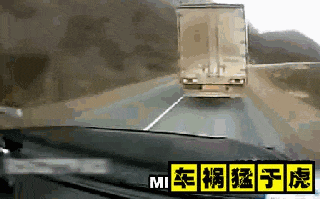 对向有车也敢超？广西一任性司机压实线强行超车被处罚