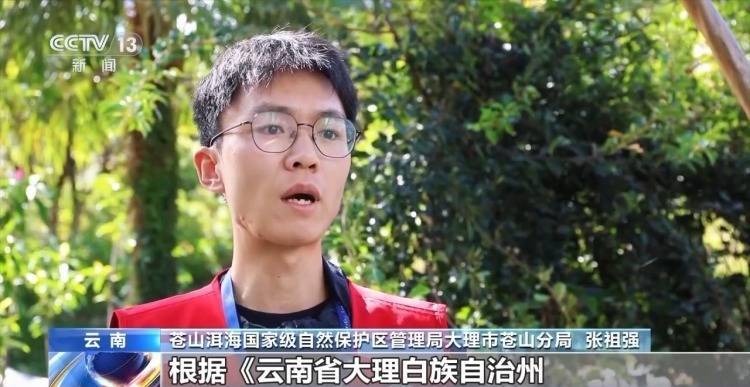 4人因擅自进入苍山保护区被立案调查