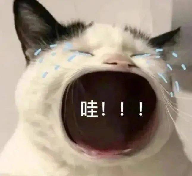 浙江一男子去处理违章，交警感觉他“不太对劲”，一检测，现场气氛凝固了起来...