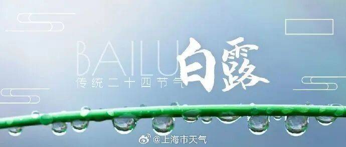 今日白露，上海最高温仍可达37℃！多人拍下这一幕，网友纷纷“接好运”
