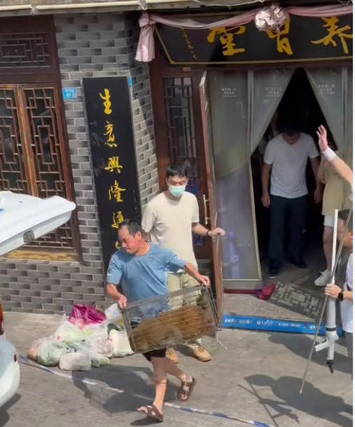 四川德阳“超快猴”被捕获：半个月逛遍城区成当地“明星” 将观察评估后决定其去向