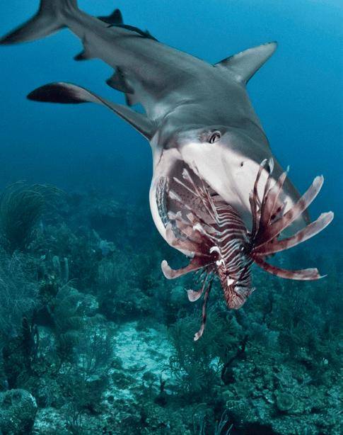 明目张胆地"吃同事"