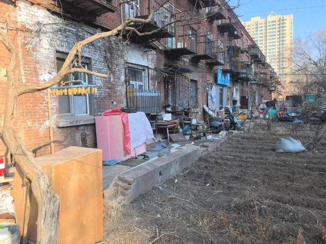 哈尔滨市香坊区安乐街道幸福社区：“旧貌”焕“新颜”点亮居民幸福生活