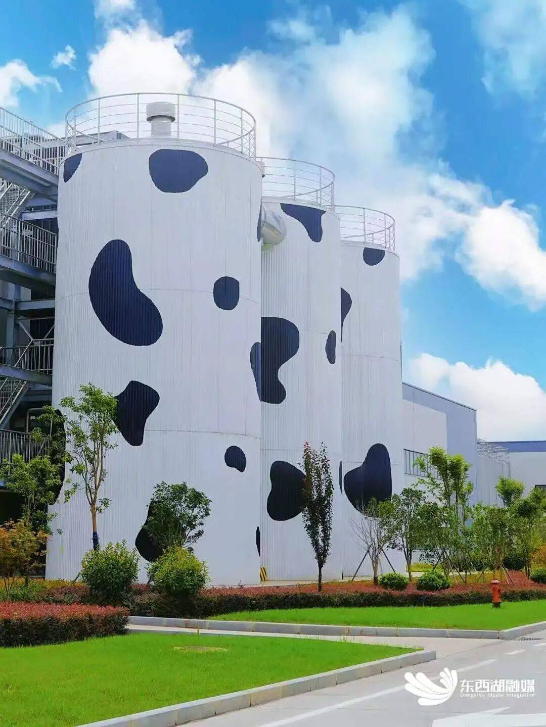 蒙牛武汉基地2025年荣膺fwrc福布斯世界上产能最大的单体低温酸奶