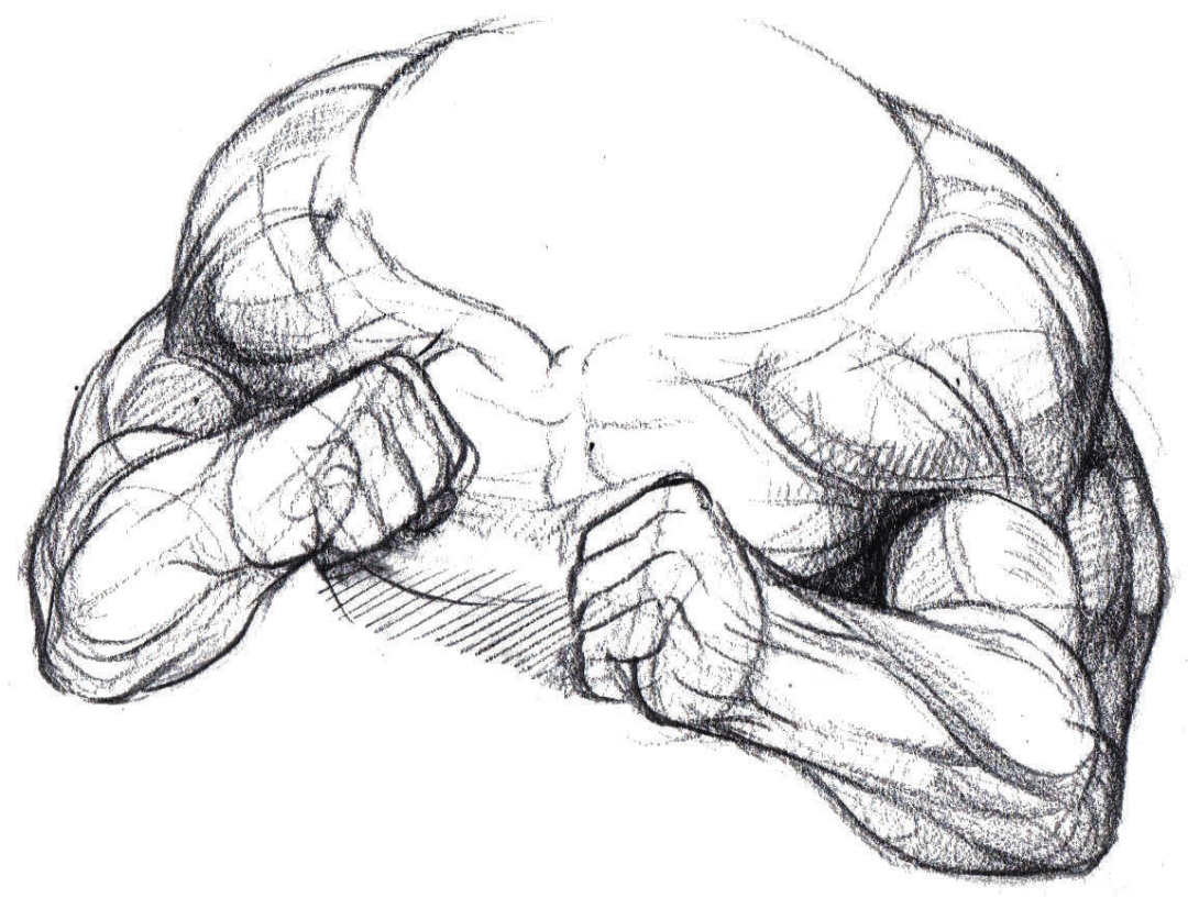 04加强明,暗交界线的表现,对肌肉的细节进行刻画