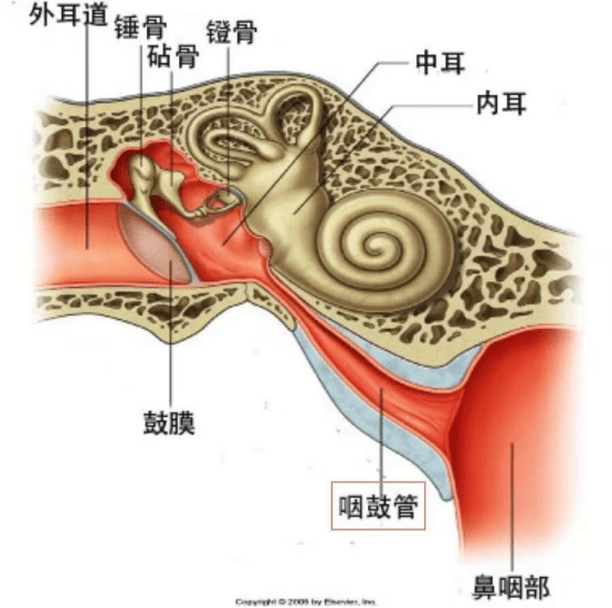 这种容易被误当感冒的中耳炎,你一定要了解!