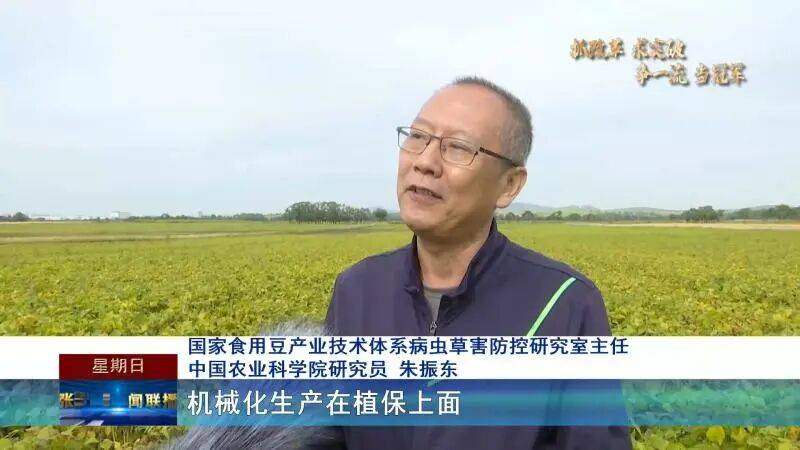 【抓改革 求突破 争一流 当冠军】科技赋能秋收 张家口食用豆全机械化收割按下“快进键”